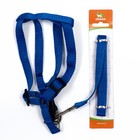 Комплект «Базис», поводок 120×1.5 см, шлейка 32-46×1.5 см, синий - Фото 5