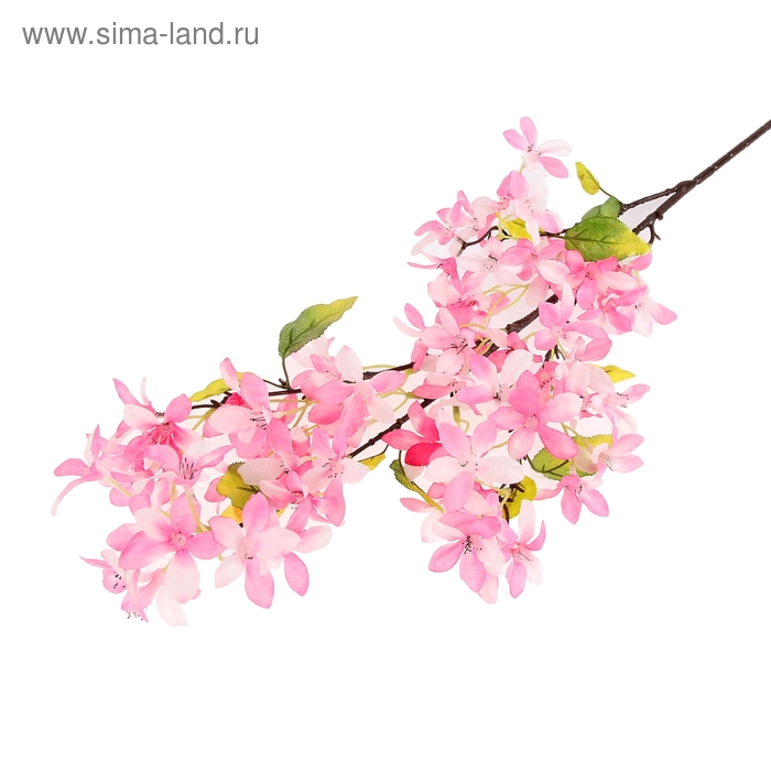 Цветы искусственные «Белоцветник», 100 см, d=5 см, розовый - Фото 1