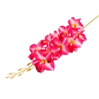 Цветы искусственные «Орхидея Дендробиум», 95 см, d=8 см, h=5 см, малиновая - Фото 1