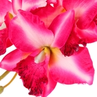 Цветы искусственные «Орхидея Дендробиум», 95 см, d=8 см, h=5 см, малиновая - Фото 2