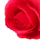 цветы искусственные 55 см роза парковая красный - Фото 2