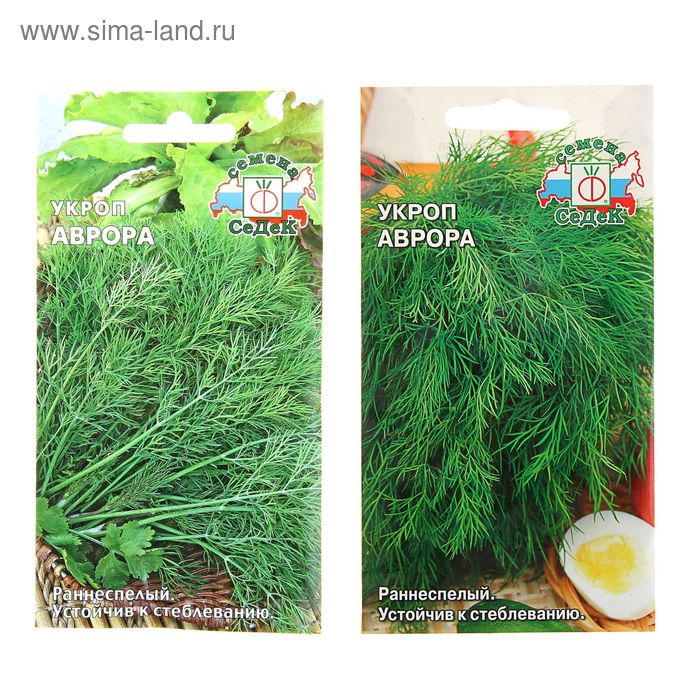 Семена Укроп "Аврора", 2 г. - Фото 1