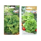 Семена Салат «Витаминный», листовой, 0.5 г, «СеДеК» - Фото 1