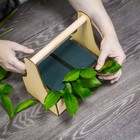 Губка флористическая "Оазис Витал", 23 х 11 х 7,5 см - Фото 3