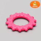 Игрушка жевательная "Кольцо с шипами", TPR, 8,5 см, микс цветов - Фото 1