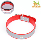 Ошейник широкий с косточками, светоотражающий, 66 х 3,5 см, ОШ 48-58 см, красный - Фото 1