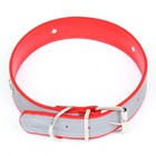 Ошейник широкий с косточками, светоотражающий, 66 х 3,5 см, ОШ 48-58 см, красный - Фото 2