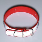 Ошейник широкий с косточками, светоотражающий, 66 х 3,5 см, ОШ 48-58 см, красный - Фото 7