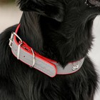 Ошейник широкий с косточками, светоотражающий, 66 х 3,5 см, ОШ 48-58 см, красный - Фото 8