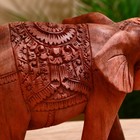 Сувенир дерево "Слон" резной коричневый цвет 20х30х12 см - Фото 2