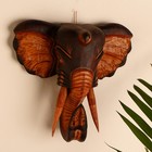 Сувенир дерево "Голова слона" 29х27х10 см - фото 9909714