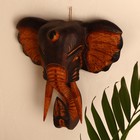 Сувенир дерево "Голова слона" 29х27х10 см - Фото 3