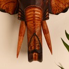 Сувенир дерево "Голова слона" 29х27х10 см - Фото 5