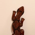 Панно «Геккон», 50×13×1 см, дерево - Фото 2