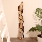 Панно «Геккон», 100×14×1 см, дерево - Фото 1