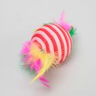 Шар-погремушка с перьями двухцветный, 4,5 см, красный/розовый - фото 8252676