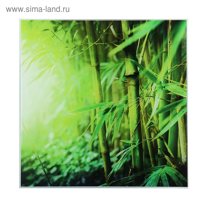 Картина на стекле "Бамбук"  30*30см - Фото 1