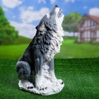 Садовая фигура "Волк" сидит 22х28х50см - фото 319973505