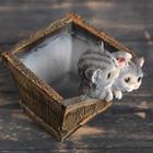 Фигурное кашпо "Ящик с котятами" 16х18х20см - Фото 6