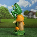 Садовая фигура из полистоуна «Лягушка с бабочкой», 39×14×14 см - Фото 15