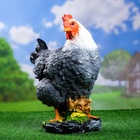 Садовая фигура из полистоуна «Курица кубанская», 33×20.5×40 см - Фото 3