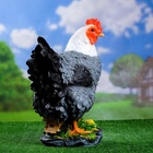 Садовая фигура из полистоуна «Курица кубанская», 33×20.5×40 см - Фото 5