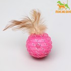 Шар-погремушка "Праздничный" с перьями, 4,5 см, микс цветов - Фото 1