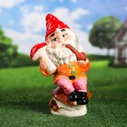 Садовая фигура "Гном на грибочке", разноцветная, 40 см, микс - Фото 6