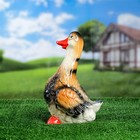 Садовая фигура "Гусь", разноцветная, 33 см, микс - Фото 6