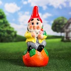 Садовая фигура "Гном и апельсин", разноцветная, 47 см, микс - Фото 2