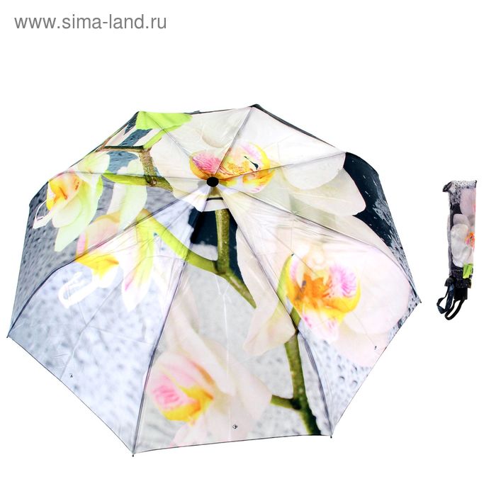 Зонт автоматический "Цветочная рапсодия, орхидеи", R=50см, разноцветный - Фото 1
