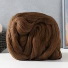 Шерсть для валяния 100% полутонкая шерсть 100гр (1384, морские водоросли) - Фото 1