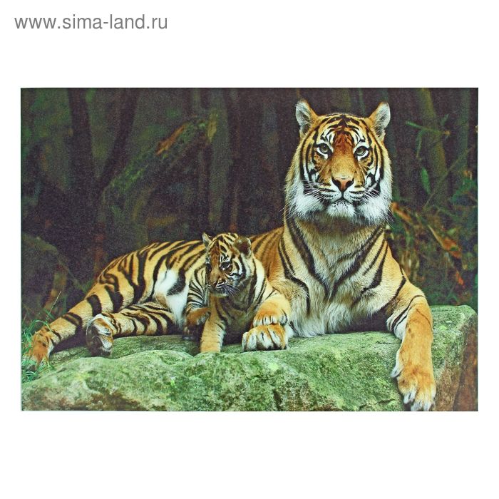 Холст "Тигр и Тигрёнок" 50*70см - Фото 1