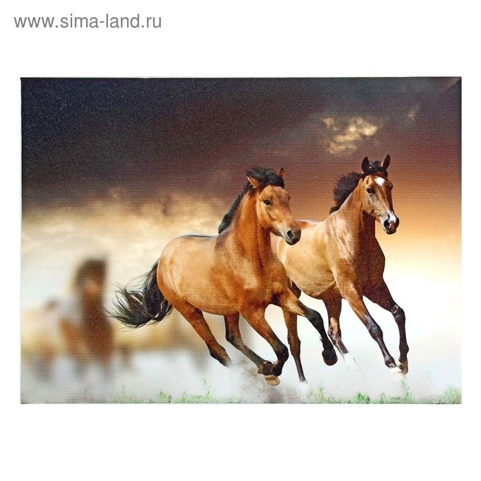 Картина-холст на подрамнике "Пара лошадей" 35*50см - Фото 1
