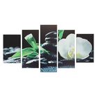 Картина модульная на подрамнике "Белоснежная орхидея" 2-43х25, 2-58х25, 1-72х25 см, 72х125см - Фото 1