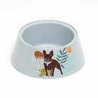 Миска "Dogs" 700 мл, микс цветов - Фото 2