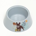 Миска "Dogs" 700 мл, микс цветов - Фото 4
