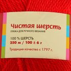 Пряжа "Чистая шерсть" 100% шерсть 250м/100гр (0042, красный) - Фото 3