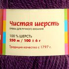 Пряжа "Чистая шерсть" 100% шерсть 250м/100гр (1597, ежевика) - Фото 3