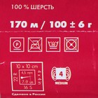 Пряжа "Деревенька" 100% шерсть 170м/100гр (2449, натуральный светлый) - Фото 3