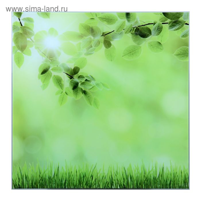 Картина на стекле "Зелёная поляна" 50*50см - Фото 1