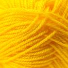 Пряжа для вязания спицами, крючком «Пехорский текстиль. Детская новинка», 100% акрил, 200 м/50 г, (12 желток) - Фото 3