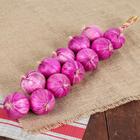 Муляж «Связка лука», 12 луковиц, МИКС - Фото 1