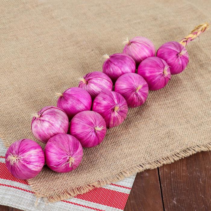 Муляж «Связка лука», 12 луковиц, МИКС - Фото 1