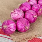 Муляж «Связка лука», 12 луковиц, МИКС - Фото 2