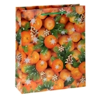 Пакет ламинированный вертикальный «Мандарины», 11 × 14 см - Фото 1