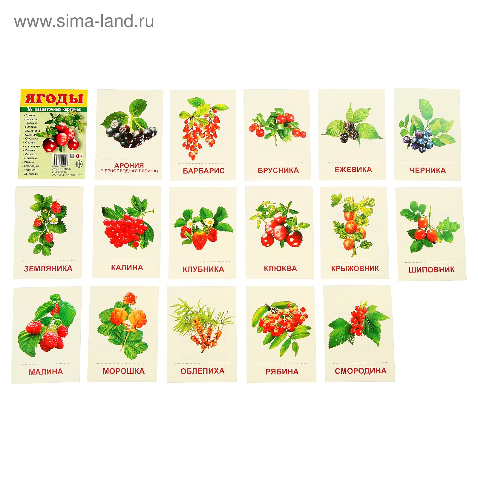 Карточки ягоды. Ягоды по названию. Все ягоды и их названия. Ягоды плакат для детей. Плакат.