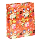 Пакет ламинированный вертикальный «Посылка от Деда мороза», 18 × 23 см - Фото 1