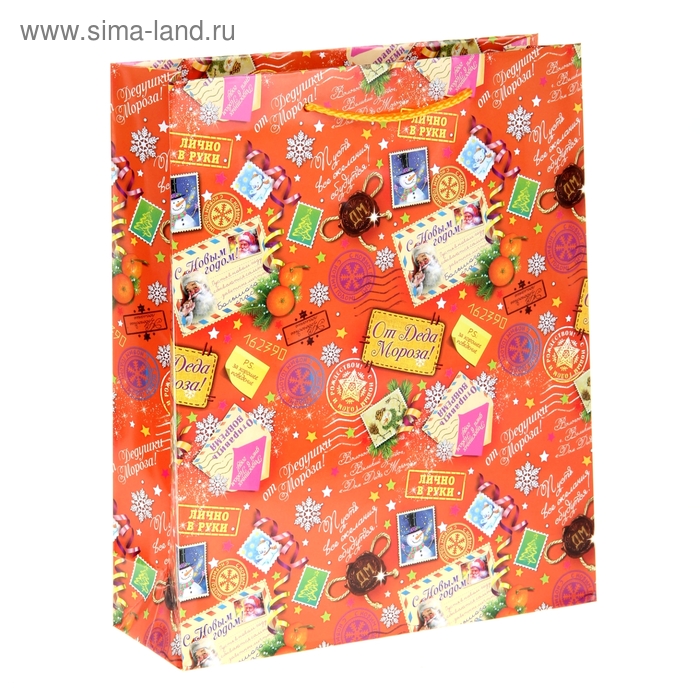 Пакет ламинированный вертикальный «Посылка от Деда мороза», 18 × 23 см - Фото 1