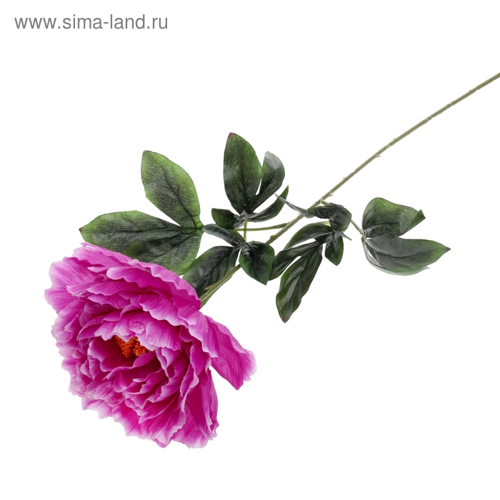 цветы искусственные пион 60 см, d-16см фиолетовый - Фото 1